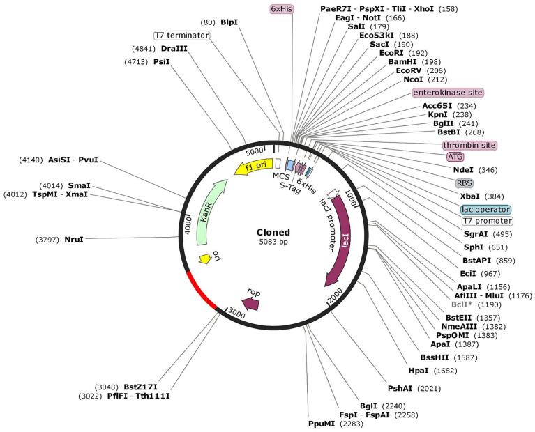 https://cdn.ncbi.nlm.nih.gov/pmc/blobs/a0ee/10536613/c34108186db0/microorganisms-11-02300-g003.jpg