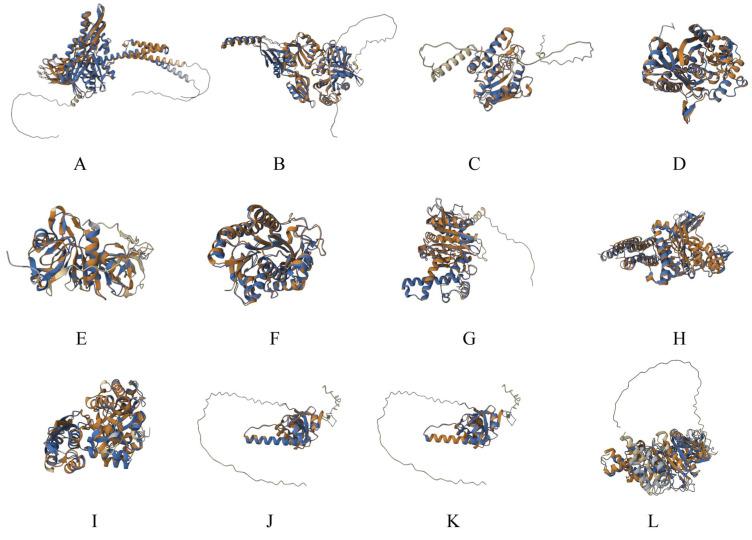 https://cdn.ncbi.nlm.nih.gov/pmc/blobs/a0ee/10536613/caa025da1306/microorganisms-11-02300-g001.jpg