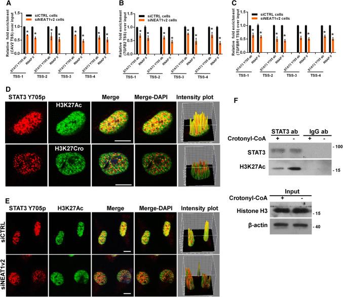 https://cdn.ncbi.nlm.nih.gov/pmc/blobs/a0f1/11105375/565a2601848c/18_2019_3074_Fig8_HTML.jpg