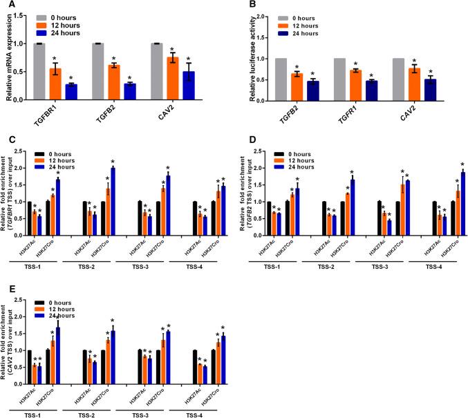 https://cdn.ncbi.nlm.nih.gov/pmc/blobs/a0f1/11105375/7c737e64a345/18_2019_3074_Fig5_HTML.jpg