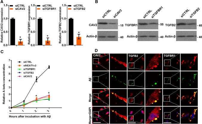 https://cdn.ncbi.nlm.nih.gov/pmc/blobs/a0f1/11105375/960813329a20/18_2019_3074_Fig3_HTML.jpg