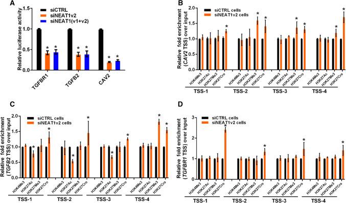 https://cdn.ncbi.nlm.nih.gov/pmc/blobs/a0f1/11105375/aa163d00ebf9/18_2019_3074_Fig4_HTML.jpg