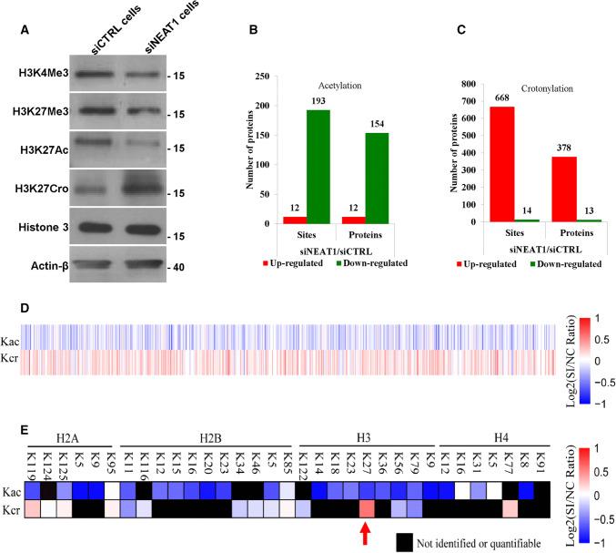 https://cdn.ncbi.nlm.nih.gov/pmc/blobs/a0f1/11105375/d1c4113ddf64/18_2019_3074_Fig6_HTML.jpg