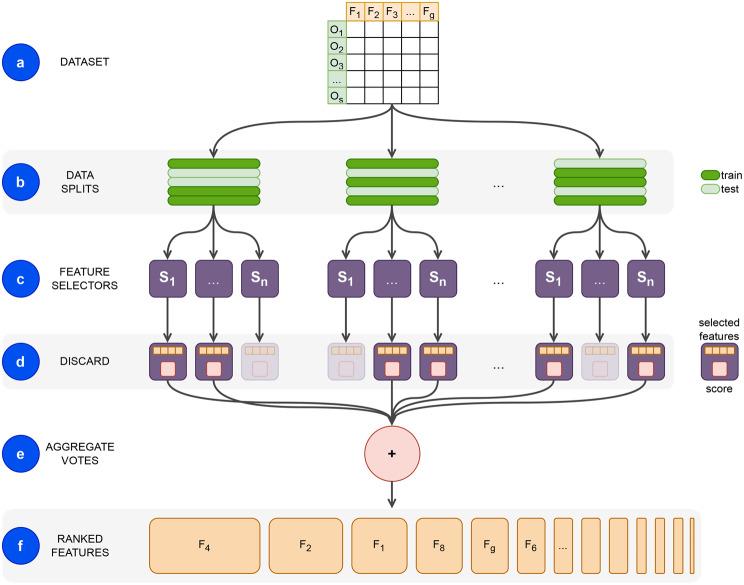 https://cdn.ncbi.nlm.nih.gov/pmc/blobs/a0f1/12044950/ef2f60c016de/12911_2025_3001_Fig5_HTML.jpg