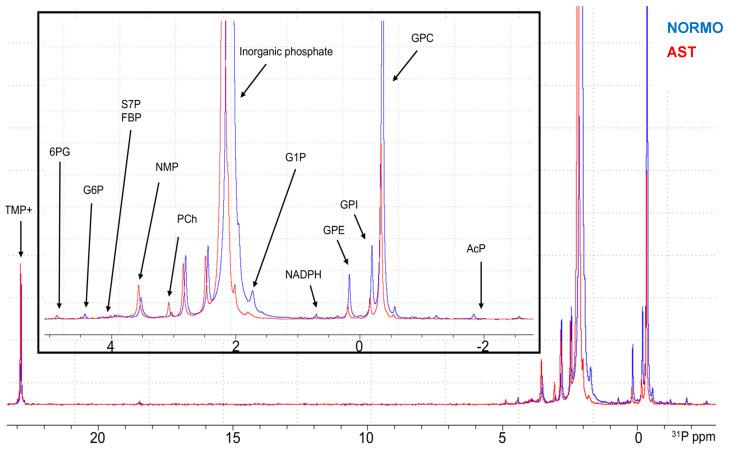 https://cdn.ncbi.nlm.nih.gov/pmc/blobs/a0f6/10855173/80dc584d768a/ijms-25-01682-g001.jpg