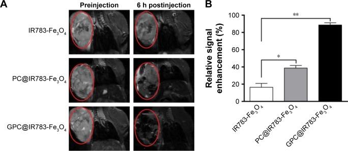 https://cdn.ncbi.nlm.nih.gov/pmc/blobs/a0f8/5358985/4ba70d5bb93b/ijn-12-2033Fig6.jpg