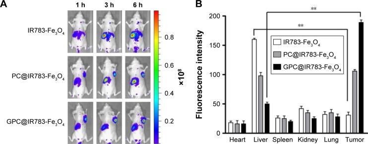 https://cdn.ncbi.nlm.nih.gov/pmc/blobs/a0f8/5358985/c271adacd0d2/ijn-12-2033Fig5.jpg