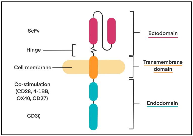 https://cdn.ncbi.nlm.nih.gov/pmc/blobs/a0f9/12384035/46f111ac40e5/biology-14-01035-g001.jpg