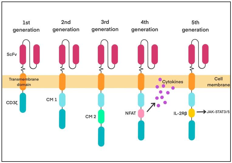 https://cdn.ncbi.nlm.nih.gov/pmc/blobs/a0f9/12384035/5695ce15fd44/biology-14-01035-g002.jpg