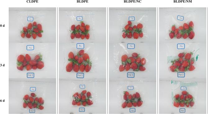 https://cdn.ncbi.nlm.nih.gov/pmc/blobs/a0fa/12222897/cb4228609243/41598_2025_616_Fig7a_HTML.jpg