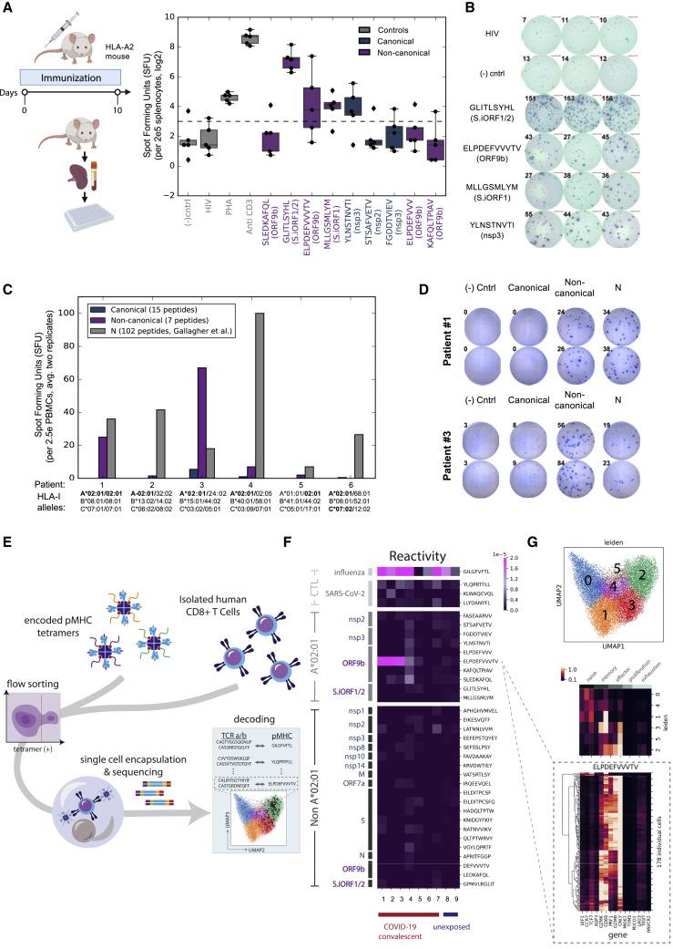 https://cdn.ncbi.nlm.nih.gov/pmc/blobs/a0fa/8173604/ffa866ac4bab/gr6_lrg.jpg