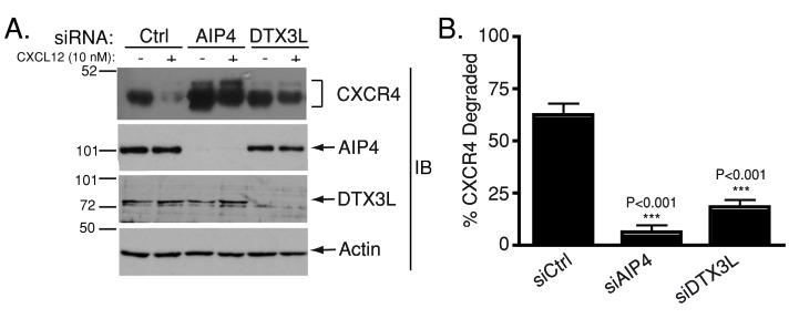 https://cdn.ncbi.nlm.nih.gov/pmc/blobs/a0fb/4055268/7c58416a863d/1892fig1.jpg