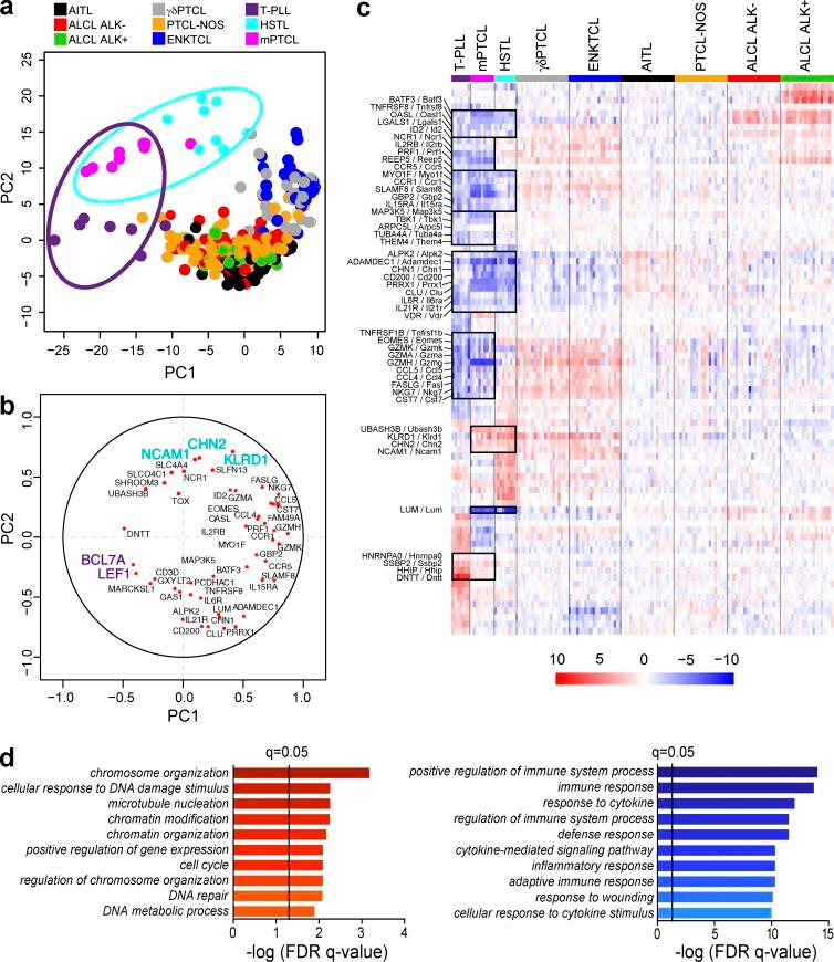 https://cdn.ncbi.nlm.nih.gov/pmc/blobs/a0fc/4854725/424c906b9ef7/JEM_20150794_Fig8.jpg
