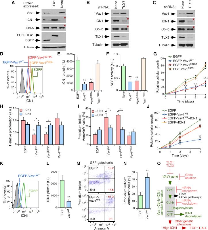 https://cdn.ncbi.nlm.nih.gov/pmc/blobs/a0ff/5691892/2080cd80ca45/gr8.jpg