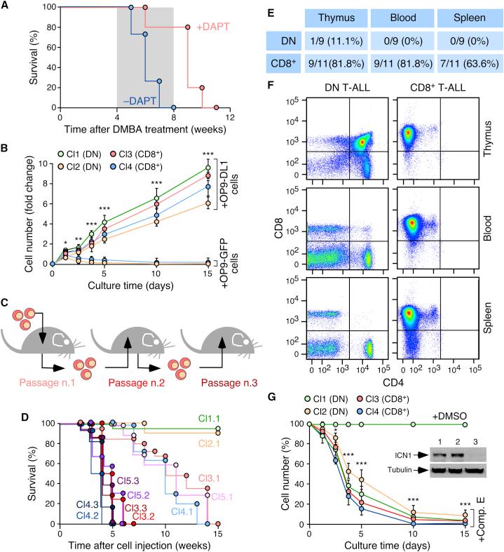 https://cdn.ncbi.nlm.nih.gov/pmc/blobs/a0ff/5691892/433bbd1ab86a/gr3.jpg
