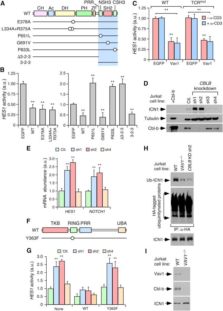 https://cdn.ncbi.nlm.nih.gov/pmc/blobs/a0ff/5691892/eb7b79203b94/gr5.jpg