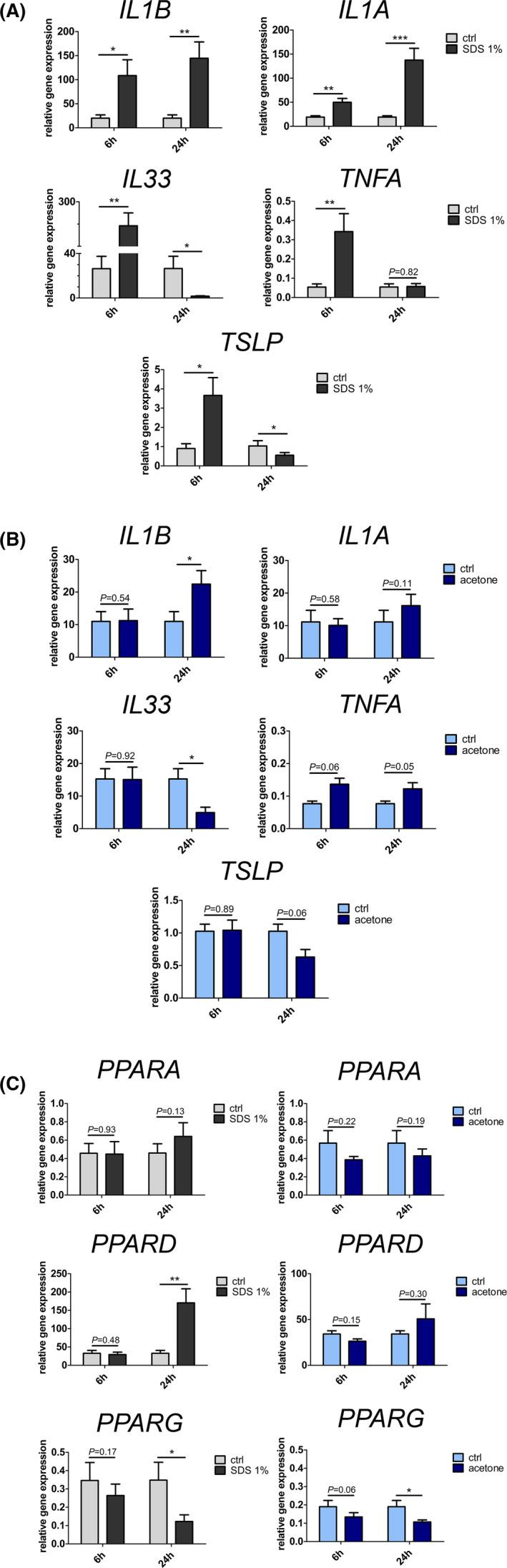 https://cdn.ncbi.nlm.nih.gov/pmc/blobs/a0ff/8451818/94503d6c84a6/EXD-30-1298-g002.jpg