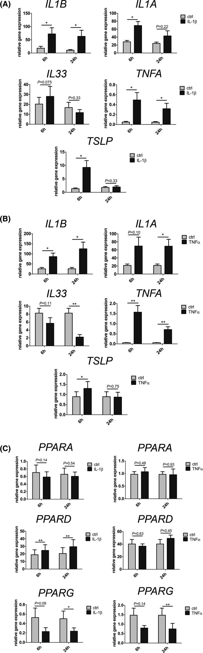 https://cdn.ncbi.nlm.nih.gov/pmc/blobs/a0ff/8451818/e151b94fea53/EXD-30-1298-g001.jpg