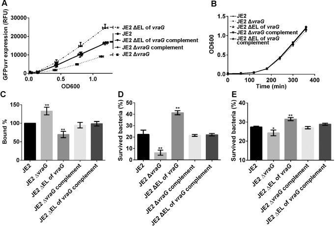 https://cdn.ncbi.nlm.nih.gov/pmc/blobs/a100/7951975/cd8107b79710/ppat.1009338.g002.jpg
