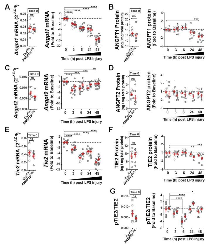 https://cdn.ncbi.nlm.nih.gov/pmc/blobs/a102/5870448/31a150a9d7f4/thoraxjnl-2017-210413f05.jpg