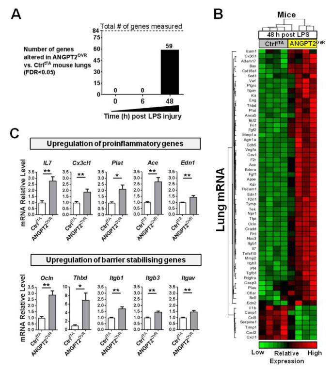 https://cdn.ncbi.nlm.nih.gov/pmc/blobs/a102/5870448/94cb34559402/thoraxjnl-2017-210413f07.jpg