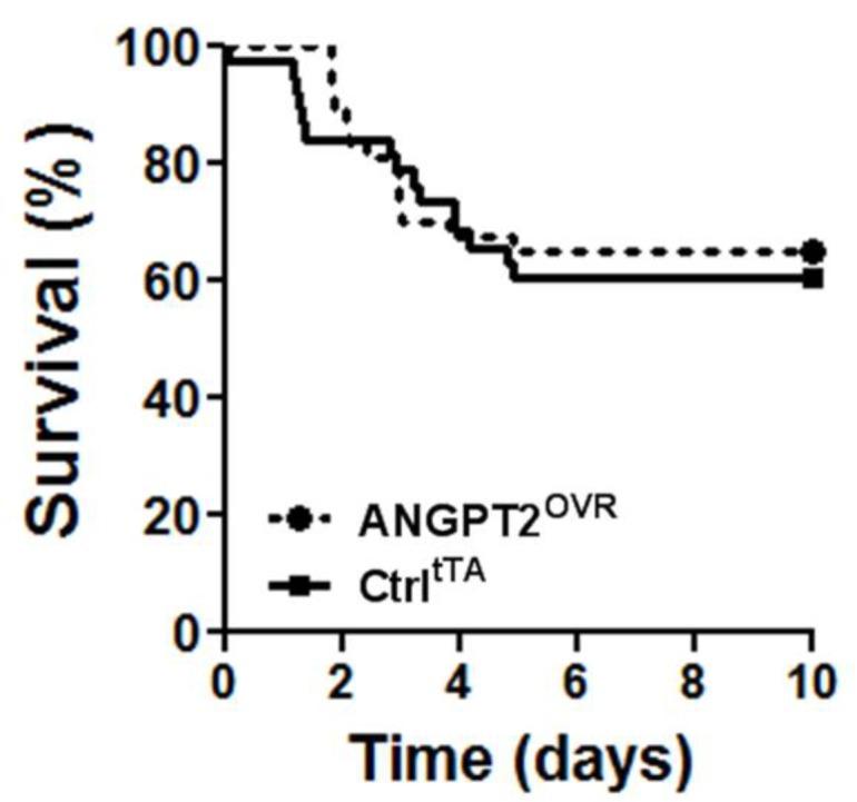 https://cdn.ncbi.nlm.nih.gov/pmc/blobs/a102/5870448/bd7b894eddce/thoraxjnl-2017-210413f04.jpg