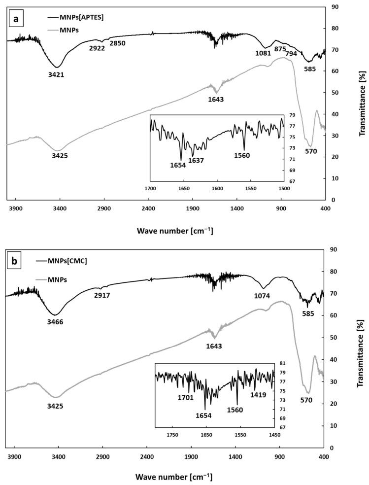 https://cdn.ncbi.nlm.nih.gov/pmc/blobs/a105/11354664/25442ab9b9a1/ijms-25-09098-g002.jpg