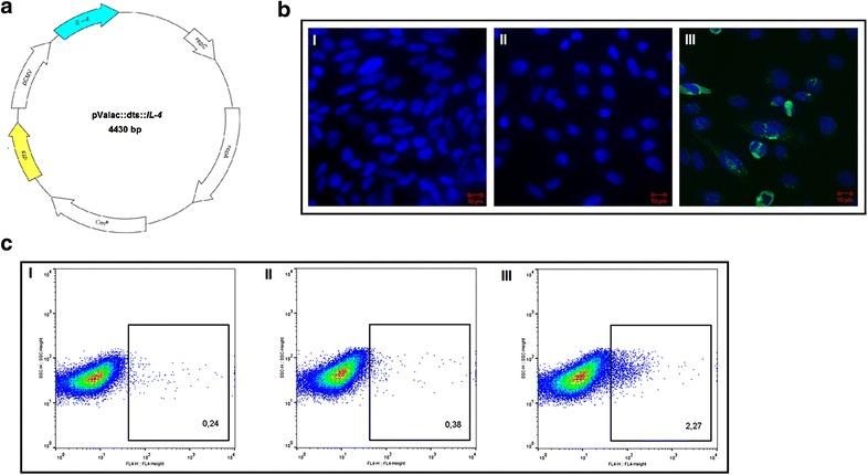 https://cdn.ncbi.nlm.nih.gov/pmc/blobs/a106/5006358/d425f2566bd5/12934_2016_548_Fig1_HTML.jpg