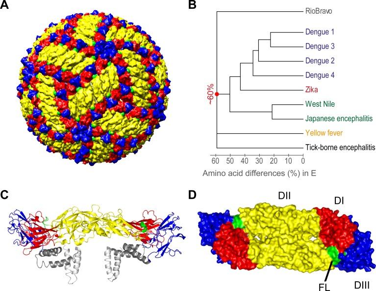 https://cdn.ncbi.nlm.nih.gov/pmc/blobs/a107/7021315/beaf0e708baa/pntd.0008034.g001.jpg