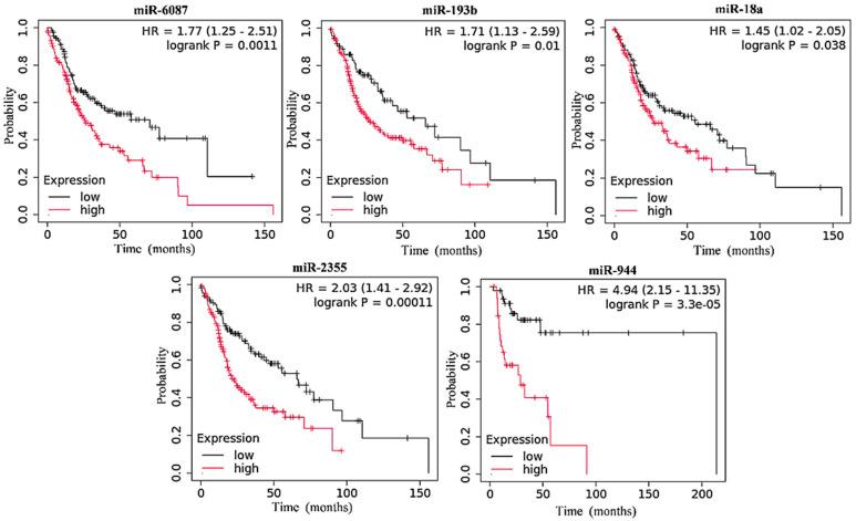https://cdn.ncbi.nlm.nih.gov/pmc/blobs/a10a/12249186/5bdcce9d61ab/cancers-17-02169-g002.jpg