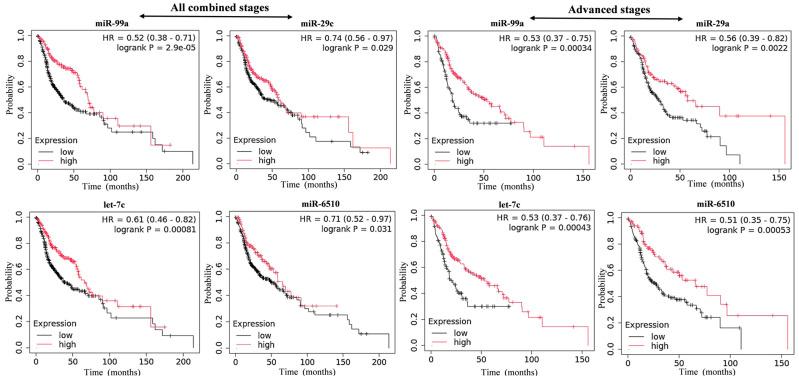 https://cdn.ncbi.nlm.nih.gov/pmc/blobs/a10a/12249186/9563870ba45f/cancers-17-02169-g004.jpg