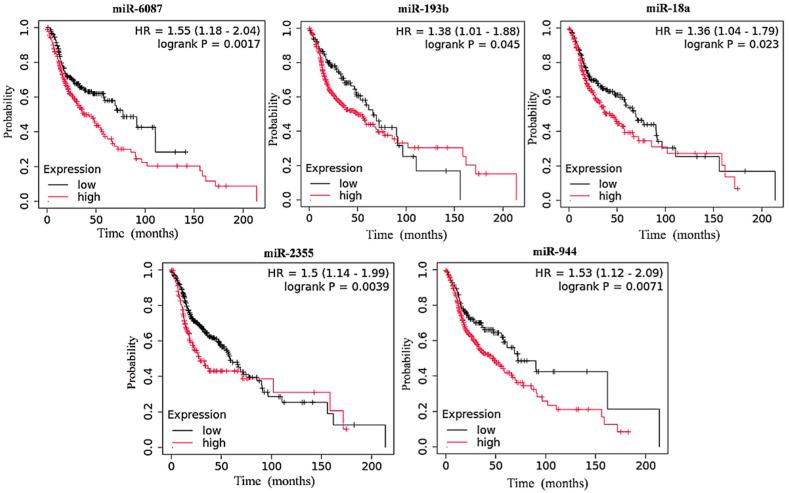 https://cdn.ncbi.nlm.nih.gov/pmc/blobs/a10a/12249186/c828bf3650a7/cancers-17-02169-g001.jpg
