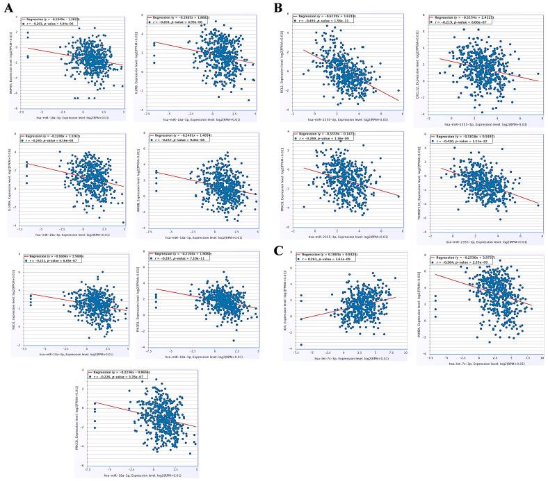 https://cdn.ncbi.nlm.nih.gov/pmc/blobs/a10a/12249186/cb83648c1b16/cancers-17-02169-g007.jpg
