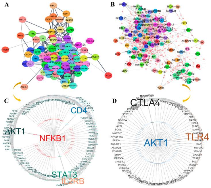 https://cdn.ncbi.nlm.nih.gov/pmc/blobs/a10a/12249186/e18a6809fe62/cancers-17-02169-g006.jpg