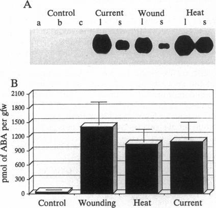 https://cdn.ncbi.nlm.nih.gov/pmc/blobs/a10c/41894/5c0883827a02/pnas01486-0046-b.jpg