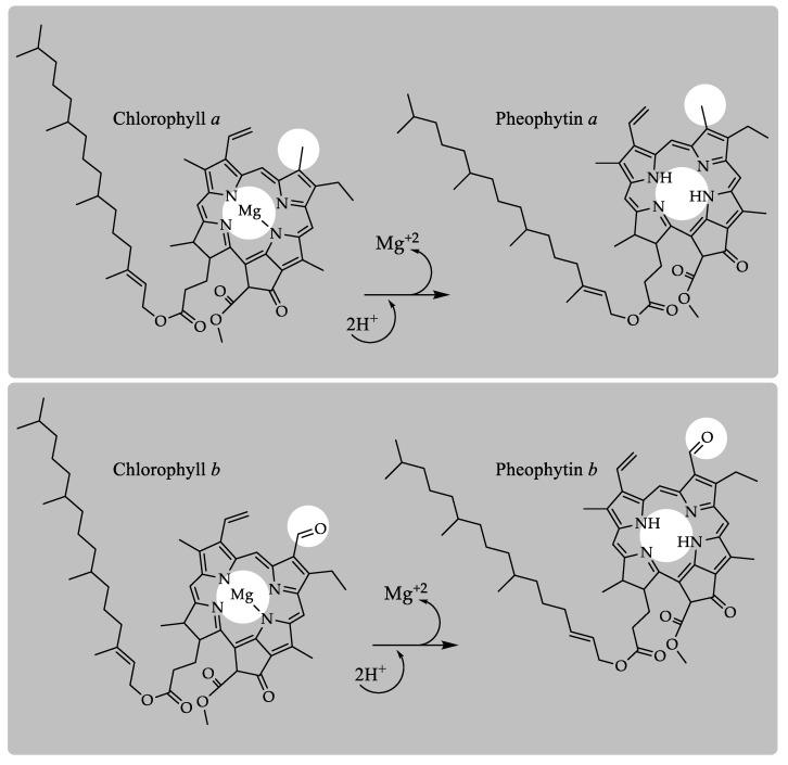 https://cdn.ncbi.nlm.nih.gov/pmc/blobs/a10c/6337735/6e92e2bc5690/molecules-24-00154-g004.jpg