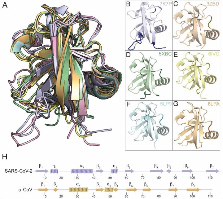 https://cdn.ncbi.nlm.nih.gov/pmc/blobs/a10c/7654870/3fa871605b2e/nihpp-2020.11.03.366757-f0006.jpg