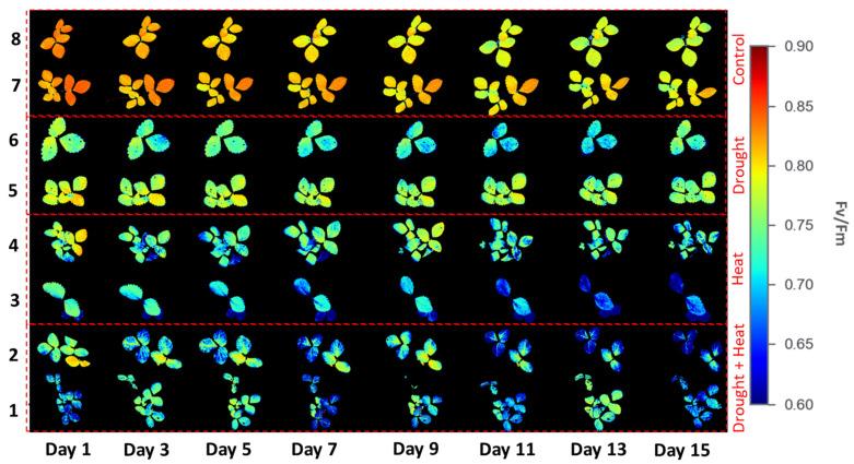 https://cdn.ncbi.nlm.nih.gov/pmc/blobs/a10f/10057166/c32569809761/plants-12-01387-g006.jpg