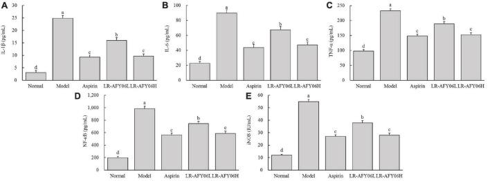https://cdn.ncbi.nlm.nih.gov/pmc/blobs/a111/10987852/31b33b4754cb/fmicb-15-1382781-g004.jpg