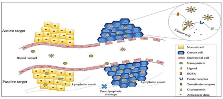 https://cdn.ncbi.nlm.nih.gov/pmc/blobs/a111/9571152/a3c2b45eb2a8/molecules-27-06608-g004.jpg