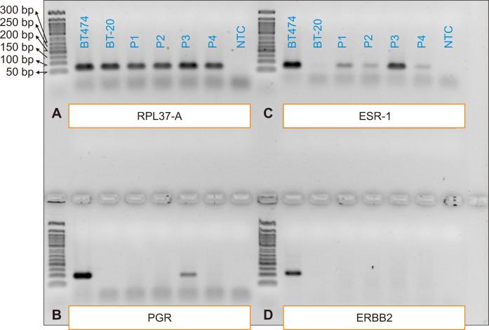 https://cdn.ncbi.nlm.nih.gov/pmc/blobs/a112/10331035/68537cf7da3c/jcp-28-2-64-f3.jpg