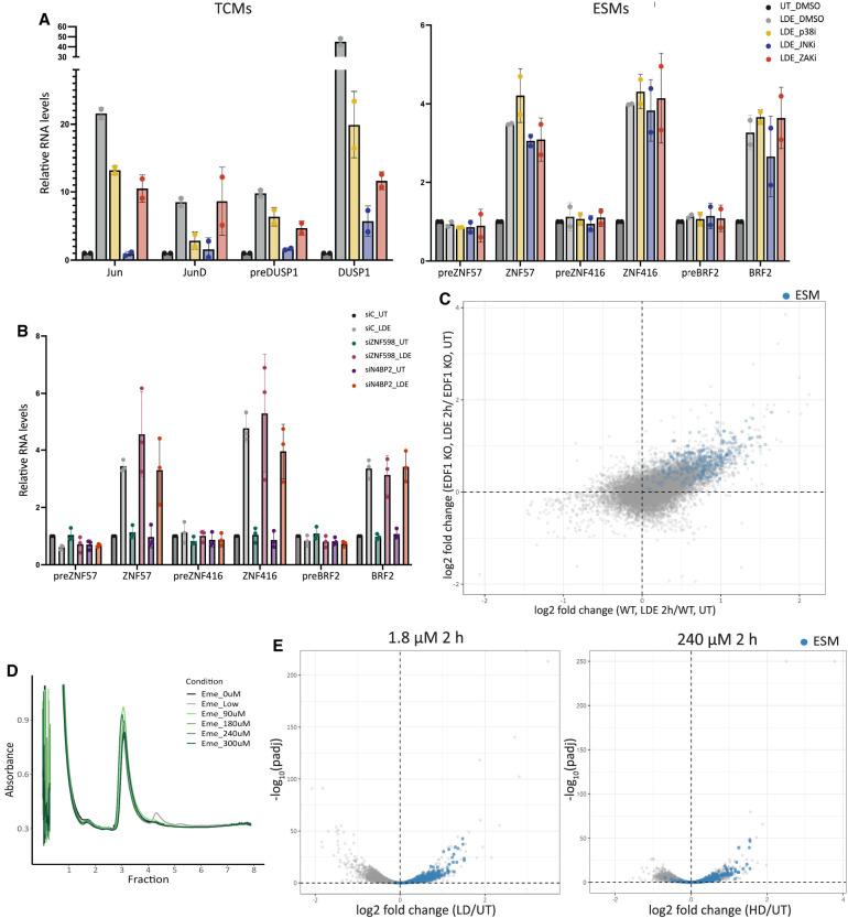https://cdn.ncbi.nlm.nih.gov/pmc/blobs/a112/11571809/f8fb5cfe409a/1572f04.jpg