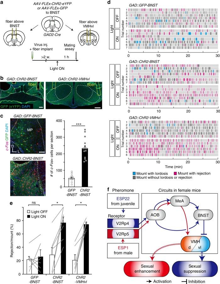 https://cdn.ncbi.nlm.nih.gov/pmc/blobs/a112/6203846/a0ecc08337c2/41467_2018_7003_Fig7_HTML.jpg