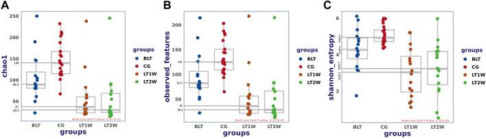 https://cdn.ncbi.nlm.nih.gov/pmc/blobs/a118/9075733/93cb5a26c452/fphys-13-854017-g002.jpg