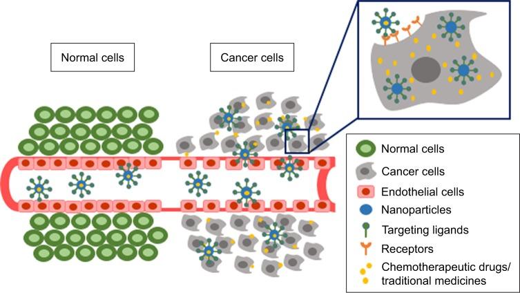 https://cdn.ncbi.nlm.nih.gov/pmc/blobs/a11a/6038858/d70d63b79f17/ijn-13-3921Fig1.jpg