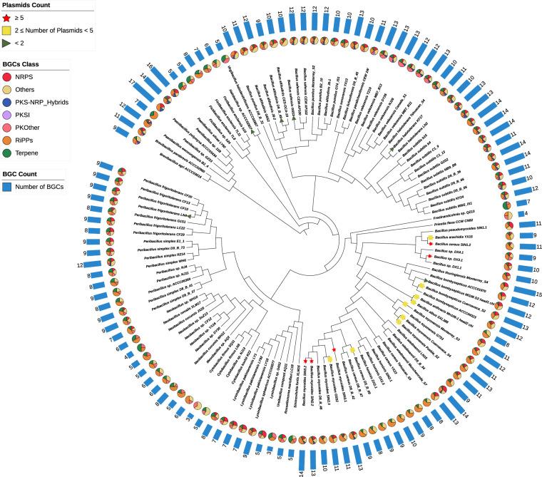 https://cdn.ncbi.nlm.nih.gov/pmc/blobs/a11d/11582795/021ec49aaa82/41597_2024_4118_Fig3_HTML.jpg