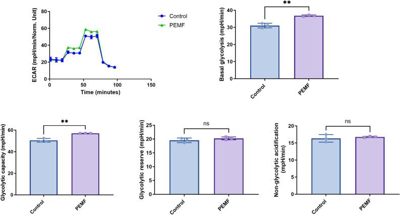 https://cdn.ncbi.nlm.nih.gov/pmc/blobs/a11e/11329790/48e9009dd319/41598_2024_69862_Fig3_HTML.jpg