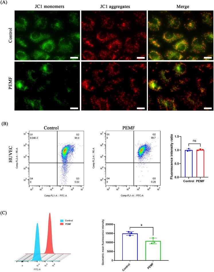 https://cdn.ncbi.nlm.nih.gov/pmc/blobs/a11e/11329790/7a55d7f62280/41598_2024_69862_Fig5_HTML.jpg