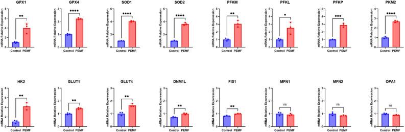 https://cdn.ncbi.nlm.nih.gov/pmc/blobs/a11e/11329790/f3aca40b7a25/41598_2024_69862_Fig8_HTML.jpg