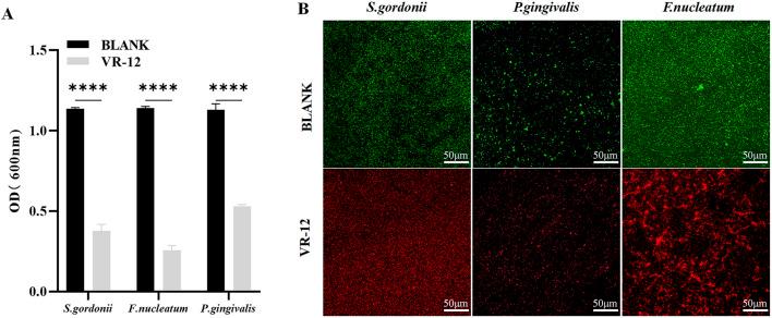 https://cdn.ncbi.nlm.nih.gov/pmc/blobs/a123/11747041/9aec0032c691/fbioe-12-1486213-g003.jpg